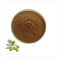 ISO Certification Olive Leaf Powder Food Grade 10:1 Olive Leaf Extract Powder