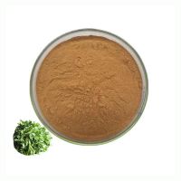 ISO Bulk Price Alfalfa Extract Powder Food Grade Alfalfa Grass Extract Powder