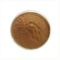 Hot Sale Natural Catnip Leaf Extract Powder 10:1 Organic Nepeta Cataria Powder