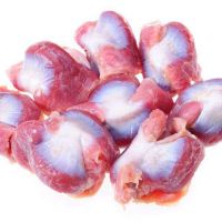 Premium Quality Halal Frozen Chicken Gizzards - Frozen Chicken Meat Bulk Stock At Wholesale Cheap Price