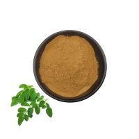 High Quality Moringa Leaf Extract Food Grade Natural 10:1 Moringa Extract Powder