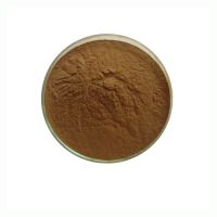 Bulk Olive Leaf Extract 10%--98% Oleuropein High Quality Olive Leaf Extract Powder