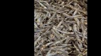 Smoked Herring Fish Dried Max Bag Body whole fertile frozen fish herring bulk suppliers whole smoked frozen fresh herring fish