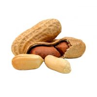 storage packaging food  package CIF shelf origin peanut snack natural peanuts price wholesale With Shell