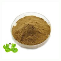 Bulk Ginkgo Biloba Extract Powder Pure Natural 10:1 Ginkgo Biloba Leaf Extract