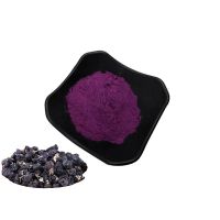 Best Quality Black Goji Berry Powder Organic Black Wolfberry Fruit Powder