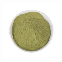 ISO Food Grade Organic Celery Extract Powder High Quality 99% Celery Juice Powder