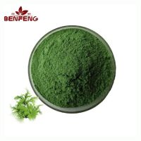 High Protein Supplements Spirulina Extract Powder Bulk Spirulina Powder