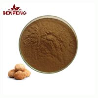 Wholesale Raw Sweet Fresh Chestnut price