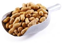 coated roasted peanuts no additives dried 100% natural peanut with best bulk suppliers shell raw peanuts prices