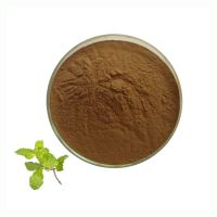 Pure Natural Spearmint Extract Food Grade 10:1 Spearmint Mint Extract Powder