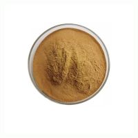 Premium Ready Stock Elderberry Extract 10:1 Elderberry Extract Powder