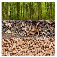 High Performance wood pellets biomass environmentally fuel pellets From Usa Supplier