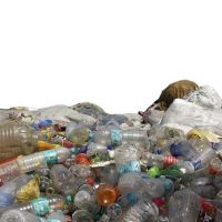 Pet Bottles Scraps available Now for sale