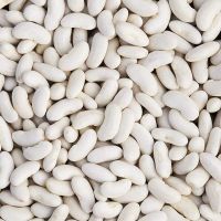 High quality 100% natural white kidney beans
