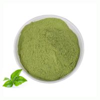 Food Grade High Quality Matcha Powder Organic Bulk Green Tea Matcha Powder