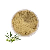 Factory Supply Bulk Olive Leaf Extract Powder Oleuropein