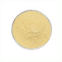 Factory Supply Chrysanthemum Flower Powder High Quality Chrysanthemum Extract Powder