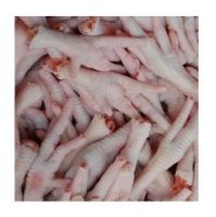 Top Selling Premium Halal Frozen Whole Chicken / Chicken Feet | Paws | Wings