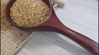 organic millet high nutrition prices bulk cheap pearl millet sales pearl for sale cheap for sale  organic millet