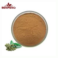 ISO Certificate High Quality Chlorogenic Acid Pure Natural Green Coffee Bean Extract Powder