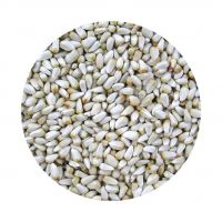 high quality wholesale price 100% pure sunflower kernels russian origin for sale sunflower seed without shell