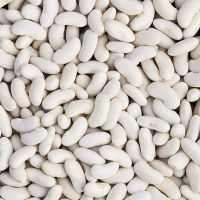 Dry white kideny beans ( sizes 180-200 / 200-240/ 240-260).