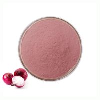 Pure Food Additive Onion Extract Powder Dehydrated Organic Onion Juice Powder