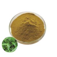 High Quality Bamboo Leaf Extract Flavonoids10:1 Bamboo Leaf Extract