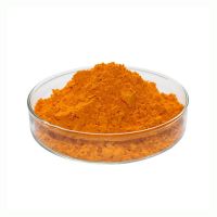 Pure Natural Turmeric Root Extract Water Soluble 10% 95% 99% Curcumin Powder
