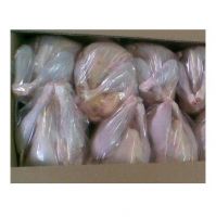 Frozen Halal Whole Chicken and chicken parts