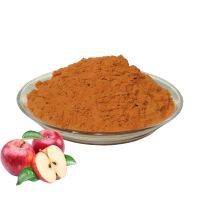 High Quality Natural Apple Extract Food Grade 10%-80% Apple Polyphenols Powder