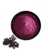 Sweet Syrup  Elderberry Fruit Powder Organic Black Elderberry Extract