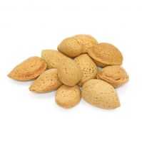 Best Factory Price Raw Almonds In-shell Nuts Available