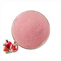 Hot Sale Pomegranate Extract Juice Powder High Quality Bulk Pomegranate Powder