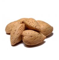 High Quality Raw Almonds In-shell Nuts Available For Sale At Low Price