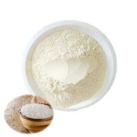 Bulk Rice Protein Peptide For Food Additive Water Soluble Rice Peptide Powder