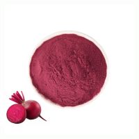 ISO High Quality Beet Root Juice Powder Spray Dried Organic Beet Root Powder