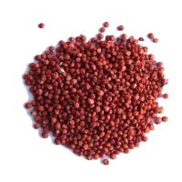 wholesale specification of red sorghum organic seeds packing for sale Sorghum best selling premium wholesale bird feed
