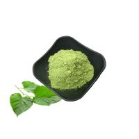 High Quality  Mulberry Leaf Extract 10:1 Natural Mulberry Leaf Extract Powder