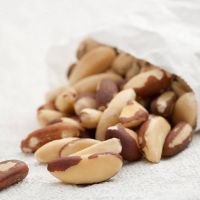 cheap wholesale good typical  brazil nuts wholesale premium organic toasted brazil nuts with shell for snacks