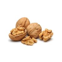 Best selling High quality un shelled walnuts for sale  unshelled quality premium 185 walnuts with large walnut kernels