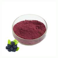 ISO Certificate BlackBerry Extract Anthocyanin Pure Natural Blackberry Fruit Powder