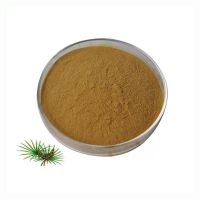 Bulk Fatty Acid Powder Pure Natural 10:1 Saw Palmetto Leaf Extract