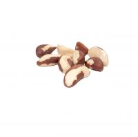 Premium Grade Brazil Nuts: Wholesale, Natural, and Exceptional Quality