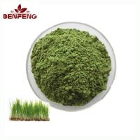 ISO Certificate Wheatgrass Juice Powder 100% Organic Wheat Grass Powder
