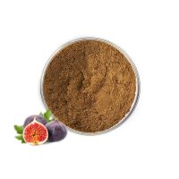 Factory Directly Supply Fig Fruit Extract Powder