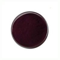 Factory Supply Mulberry Fruit Extract Powder High Quality 25% Mulberry Anthocyanin Powder