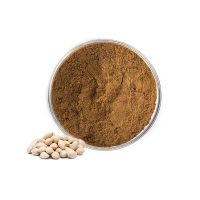 Manufacturer Hot Selling Ginkgo Nut Extract Ginkgo Seed Extract Powder