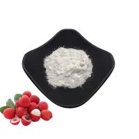 wholesale Oragnic Pure Lychee Fruit Powder Spray-dried Lychee Juice Powder